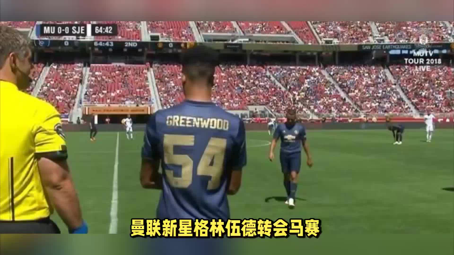 本土的